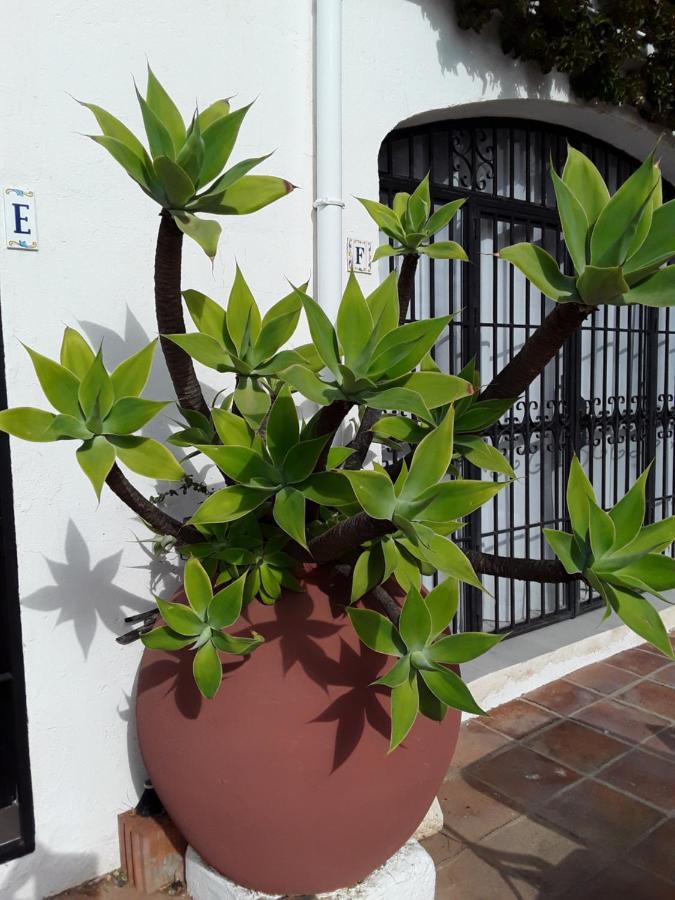 Dona Lola , Luminoso Apartamento Calahonda, Mijas Sitio de Calahonda Exteriör bild