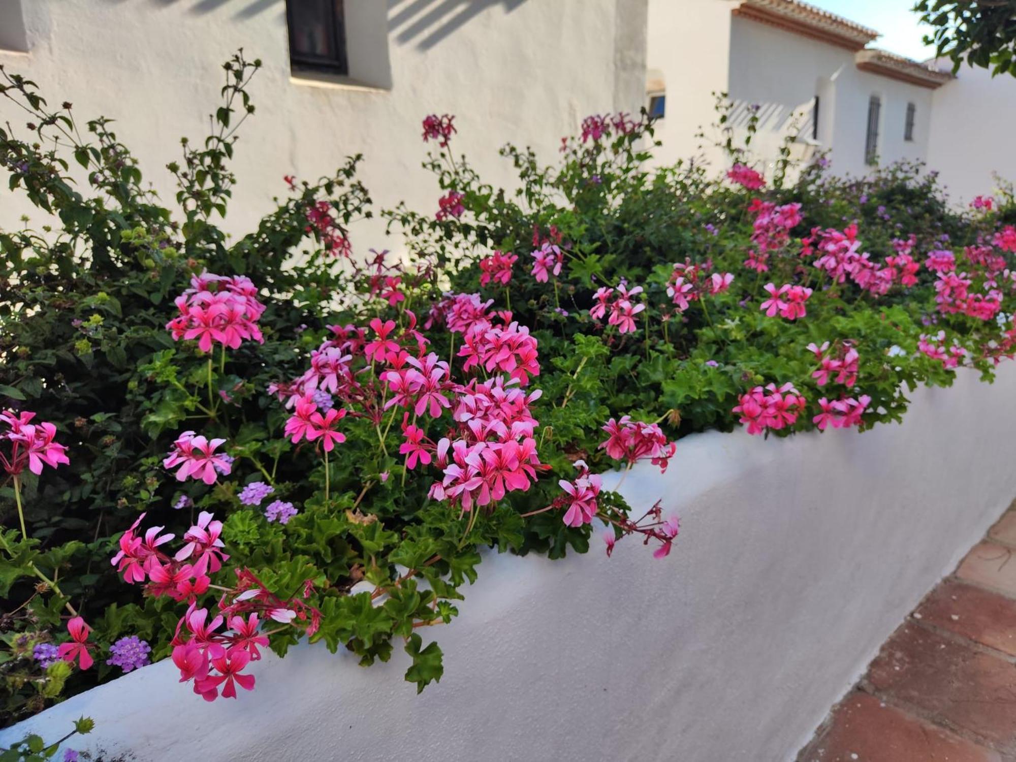 Dona Lola , Luminoso Apartamento Calahonda, Mijas Sitio de Calahonda Exteriör bild